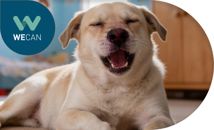 Campaña contra la gripe