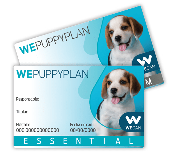 Logo PuppyPlan Tarjeta